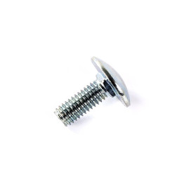 Vis tête bombée M8X12 mm ( lot de 20)